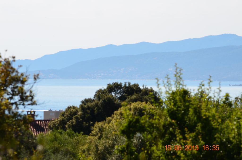 Guddelmoni * Propriano (Corsica)